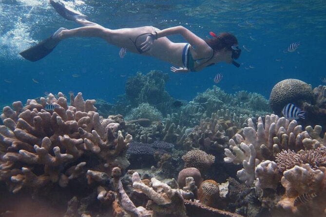 Snorkeling and Island Hopping Tour in Karimunjawa (sharing tour) - The first island and a barbecue lunch