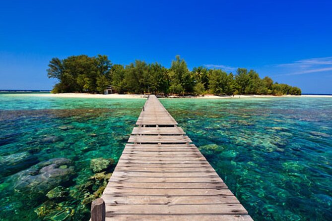 Snorkeling and Island Hopping Tour in Karimunjawa (sharing tour) - The second island and the ride home