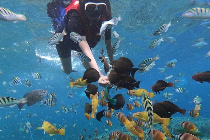 Snorkeling At Blue lagoon And Hidden waterfall - Blue Lagoon and the long road from Seminyak