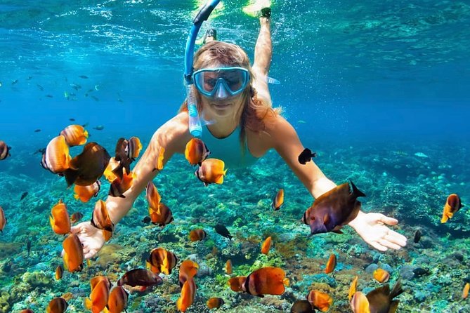 Snorkeling At Blue lagoon And Hidden waterfall - Lunch after the water