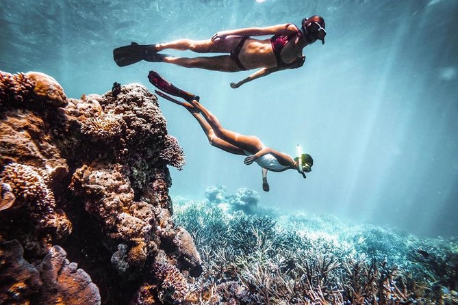 Snorkeling At Blue lagoon And Hidden waterfall - Who will enjoy this day most