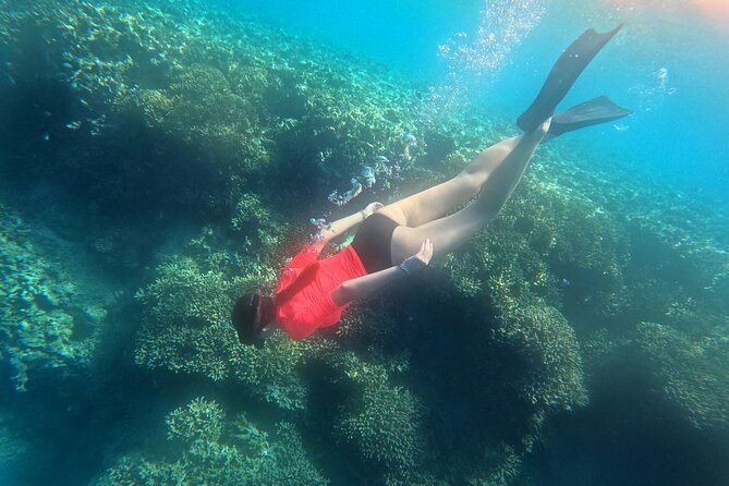 Snorkeling at Menjangan Island Bali Hidden Underwater Gem - The boat from Banyuwedang Beach