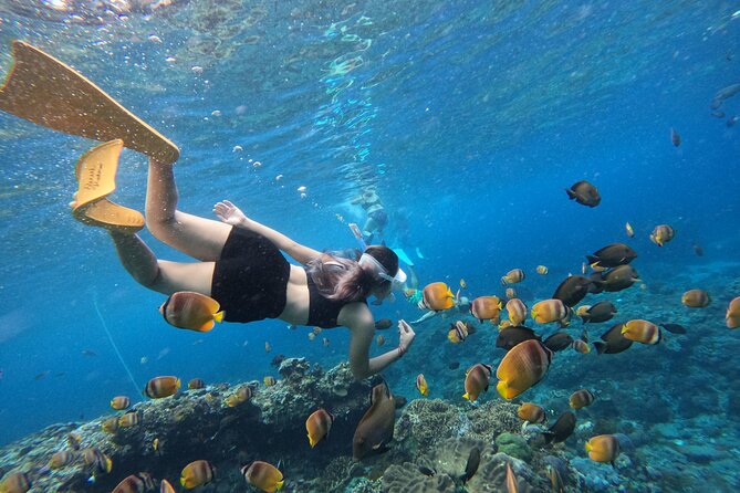 Snorkeling Day Trip To Lembongan and Penida - Three snorkeling areas near Penida and Lembongan