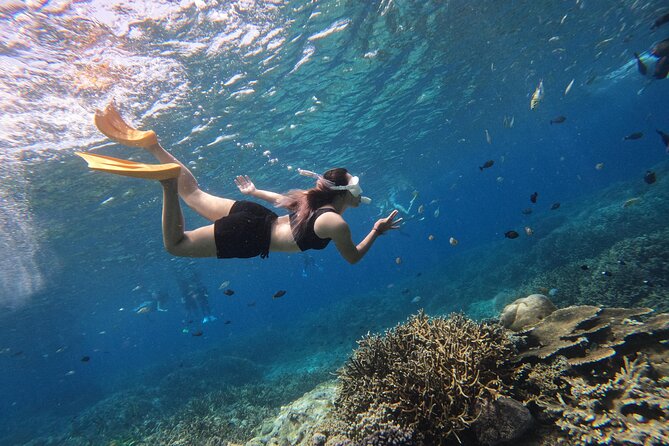 Snorkeling Day Trip to Nusa Lembongan and Nusa Penida - Starting from Bali and crossing to Lembongan