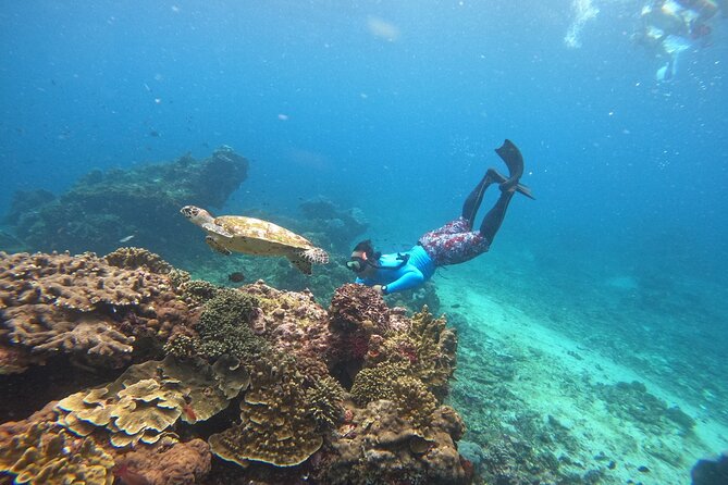 Snorkeling Day Trip to Nusa Lembongan and Nusa Penida - Three snorkel sites, chosen by the guides
