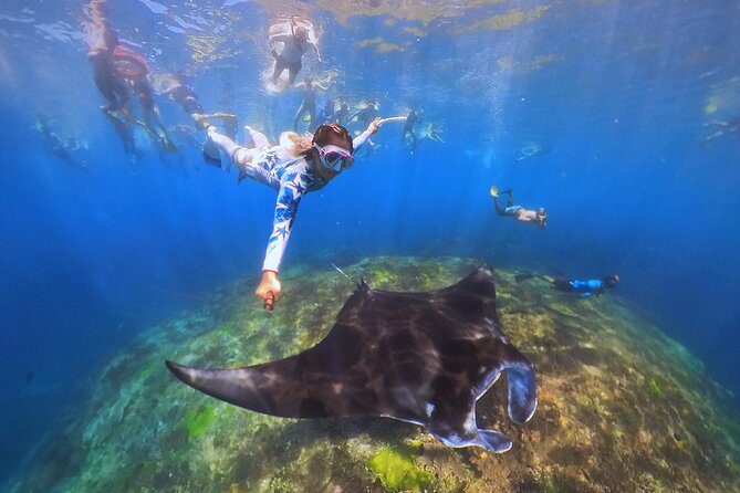 Snorkeling Day Trip to Nusa Lembongan and Nusa Penida - Lunch, drinks, and the photo stop