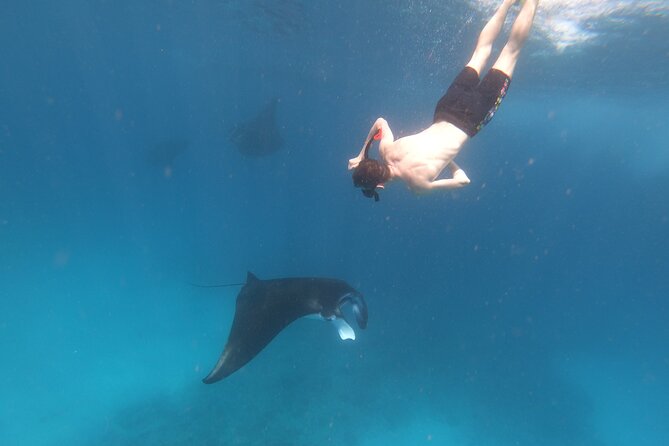 Snorkeling Day Trip to Nusa Lembongan and Nusa Penida - Is $42.55 good value?