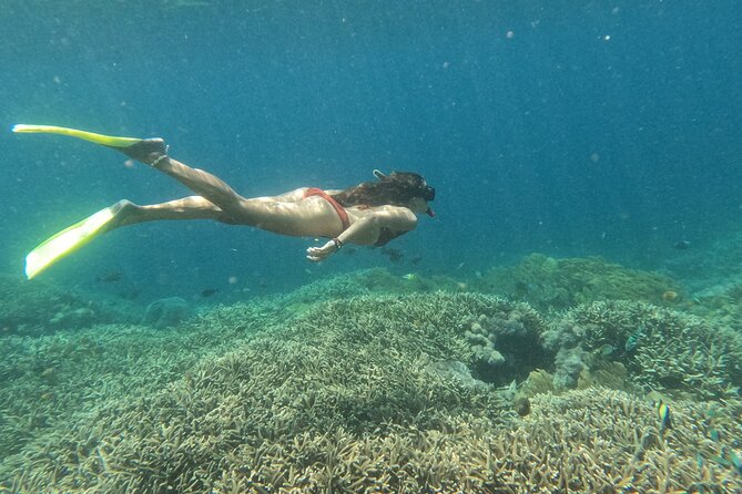 Snorkeling Day Trip to Nusa Lembongan and Nusa Penida - What makes Nusa Lembongan worth the stop