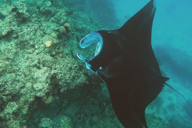 Snorkeling In Nusa Penida And Uluwatu Sunset Tours - Uluwatu Temple before sunset