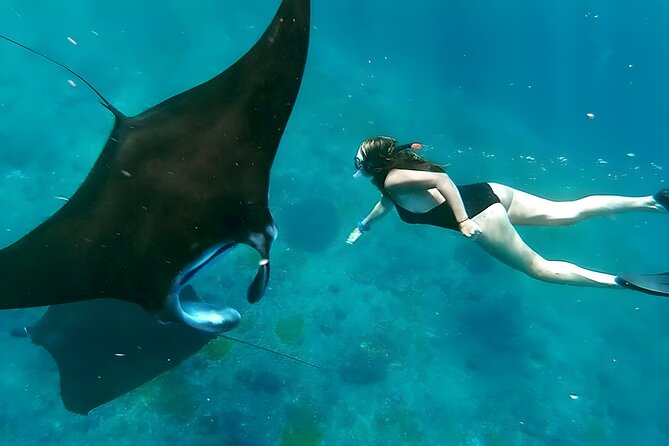 Snorkeling In Nusa Penida Departing From Bali Island - Key things to know before booking