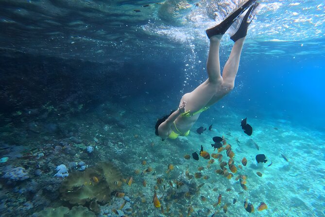 Snorkeling In Nusa Penida Departing From Bali Island - Wall Point and Manta Bay: three stops, three different expectations