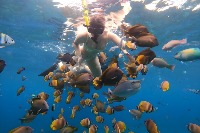 Snorkeling In Nusa Penida Departing From Bali Island - Who will enjoy this Nusa Penida trip?