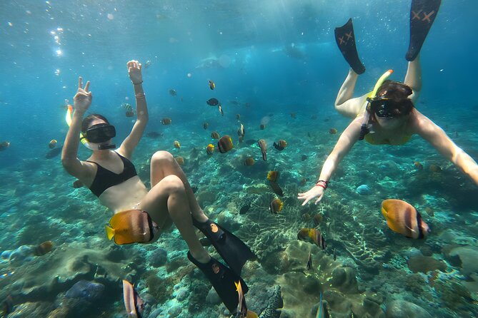 Snorkeling In Nusa Penida Departing From Bali Island - My verdict: book it for convenience, not certainty