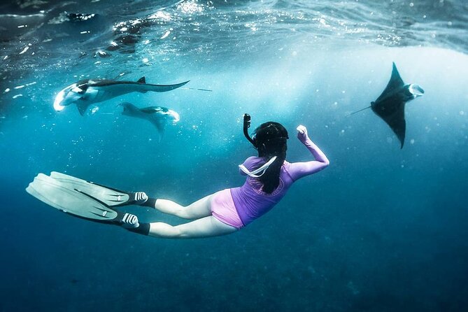 Snorkeling Manta Ray in Nusa Lembongan - Meeting at Warung Tiko’s at 8:00 am