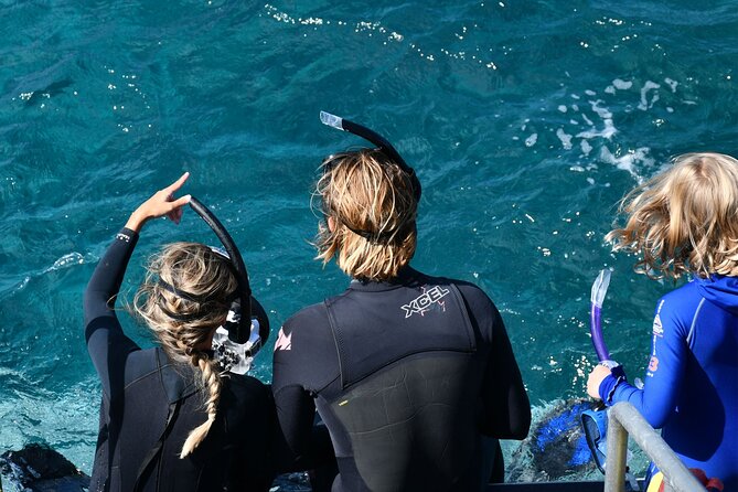 Snorkeling Manta Rays, Land Tour Tembeling Pool & Kelingking - What Wayan adds to the land tour