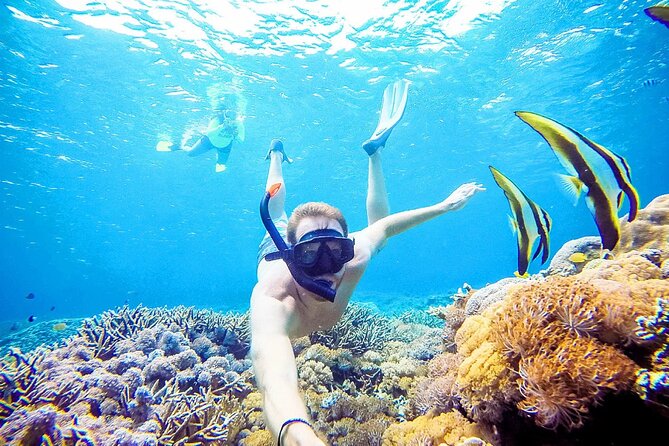 Snorkeling Nusa Penida and Island Tour Package - Kelingking Beach and the famous cliff view