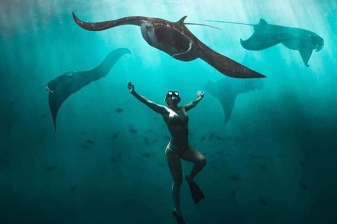 Snorkeling Nusa Penida and Island Tour Package - Private booking does not mean a private boat