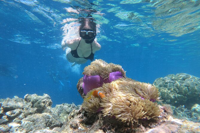Snorkeling Tour at Blue Lagoon with Private Hotel Transfer - Two reefs, one traditional boat