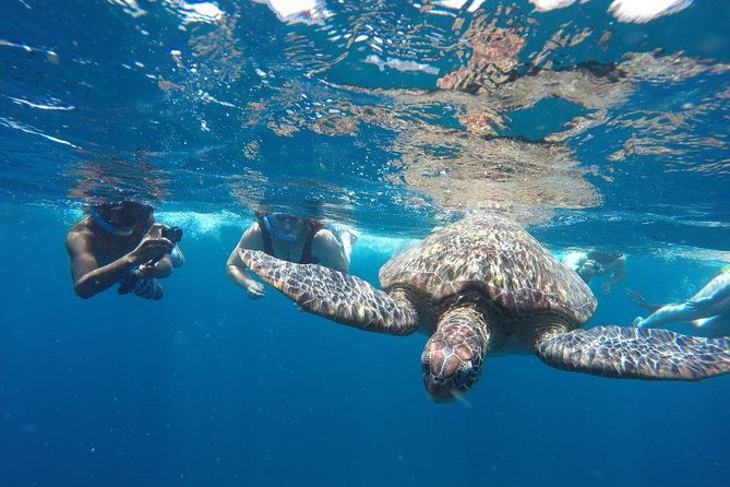 Snorkeling Tour In Gili Islands Pick Up From Lombok Or Gili - Why The Underwater Statues Make Gili Meno Special