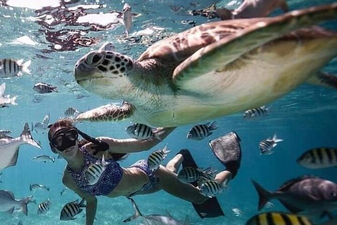 Snorkeling Tour In Gili Islands Pick Up From Lombok Or Gili - What The Glass-Bottom Boat Adds