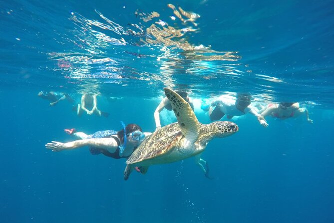 Snorkeling Tour In Gili Islands Pick Up From Lombok Or Gili - What The $128.21 Price Covers