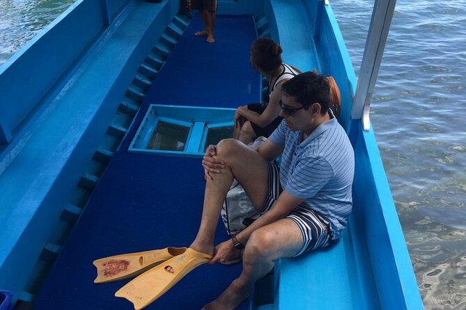 Snorkeling Tour In Gili Islands Pick Up From Lombok Or Gili - Who Will Get The Most From This Tour