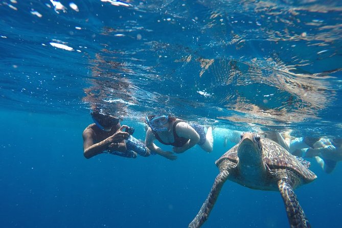 Snorkeling Tour In Gili Trawangan, Gili Meno And Gili Air Pick Up From Bali - The GoPro photos are a useful extra