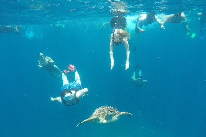 Snorkeling Tour In Gili Trawangan, Gili Meno And Gili Air Pick Up From Bali - Private group, shared boat