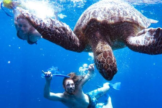 Snorkeling Tour In Gili Trawangan, Gili Meno And Gili Air Pick Up From Bali - The 6:30 am start from Bali