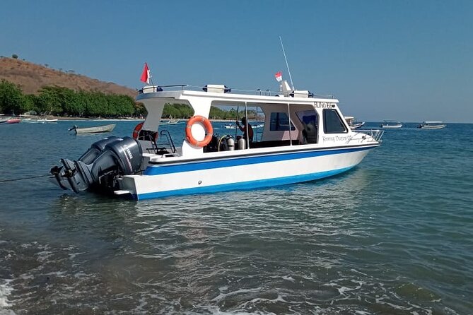 Snorkeling Trip to Menjangan Island - Why two water sessions are better than one