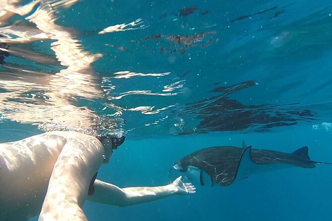 Snorkeling with Manta Rays in Their Habitat with Manta Point - Equipment, comfort, and what is included