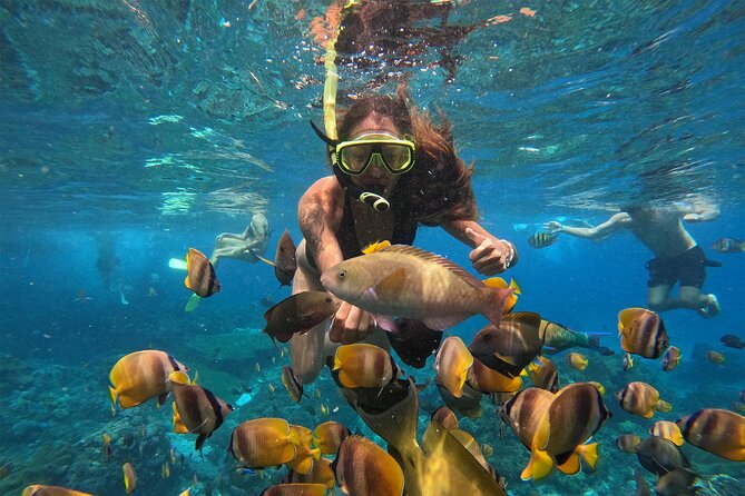 Snorkeling with Manta Rays in Their Habitat with Manta Point - Weather is the decision that matters most
