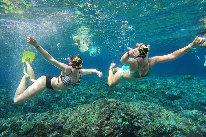 Snorkeling with Manta Rays in Their Habitat with Manta Point - Who will like this snorkeling trip?