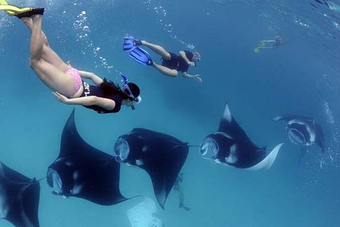Snorkeling with Manta Rays in Their Habitat with Manta Point - A three-hour plan from Banjar Nyuh Harbor