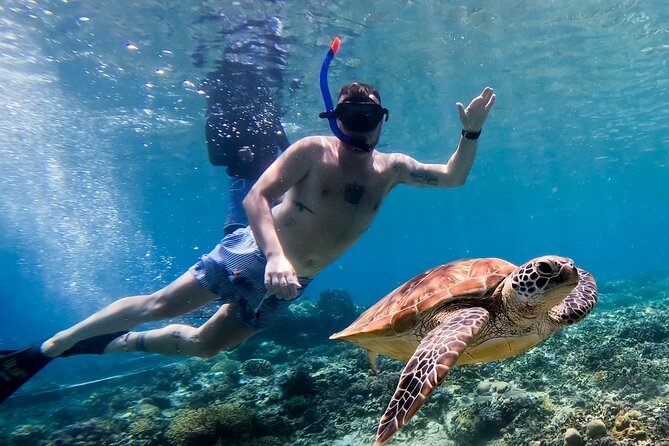 Snorkeling with turtle and statue in Gilis - Timing, crowds, and the best departure choice