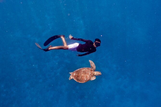Snorkeling with turtle and statue in Gilis - Safety, equipment, and what to bring