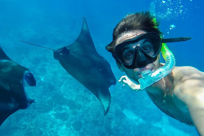 Snorkelling in Nusa Penida - Manta Point - Stop one: Manta Point and the chance to see rays