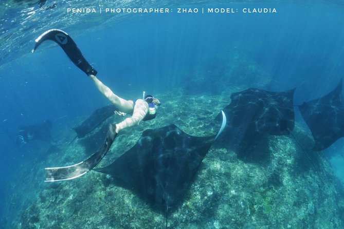 Snorkelling in Nusa Penida - Manta Point - Who will enjoy this trip most?