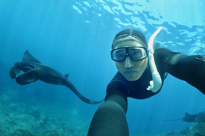 Snorkelling in Nusa Penida - Manta Point - Stop two: Crystal Bay and its coral scenery