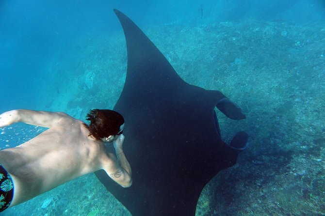 Snorkelling with Manta Rays at Nusa Penida and Lembongan - Choosing between Crystal Bay and Nusa Lembongan