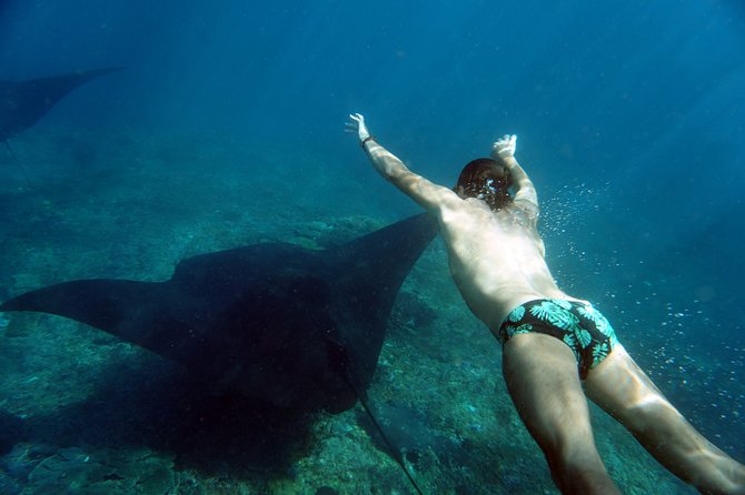 Snorkelling with Manta Rays at Nusa Penida and Lembongan - What the $143 price really covers