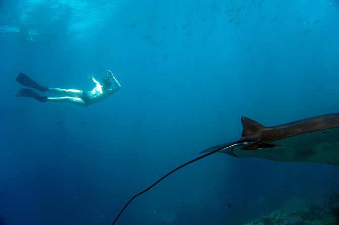 Snorkelling with Manta Rays at Nusa Penida and Lembongan - A small group with a patient guiding style