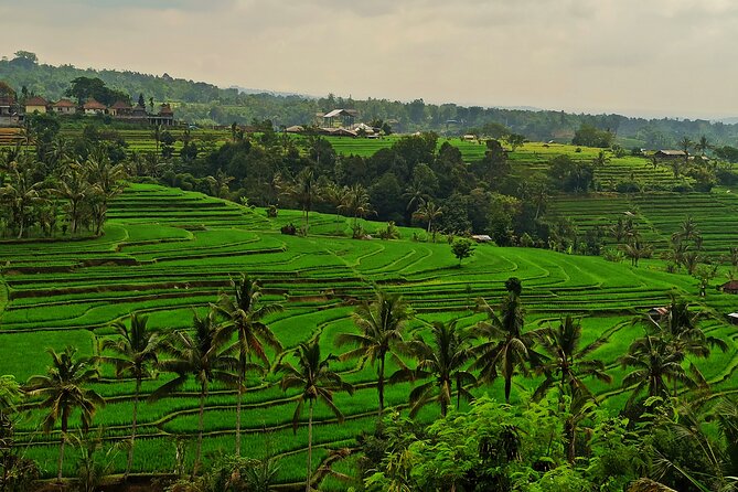 Tanah Lot Tour: Discover Bali’s Iconic Temple and Stunning Views - The 10 to 12-hour schedule