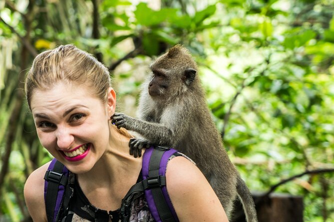 Tanah Lot Tour with Ubud Monkey Forest, Rice Terraces, and Waterfalls - Tegenungan Waterfall and a short walk