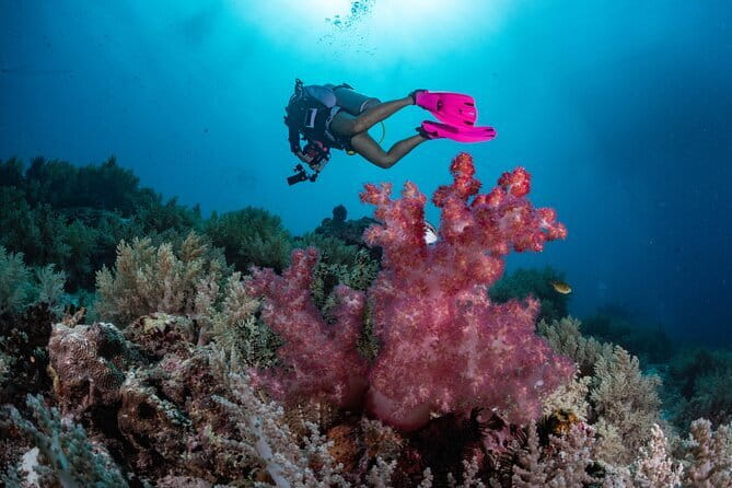 Tangkoko Bitung Manado Nature Tourism Park includes lunch. - Group size, private touring, and comfort