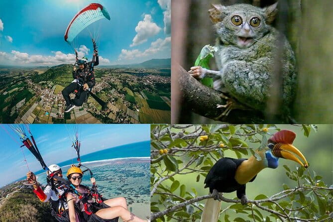 Tangkoko Bitung Manado Nature Tourism Park includes lunch. - What to bring for the five to six hour outing