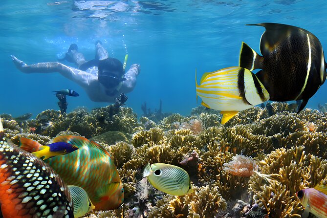 Tanjung Benoa Water Sports: All Inclusive Bali Activities - Safety equipment and age limits