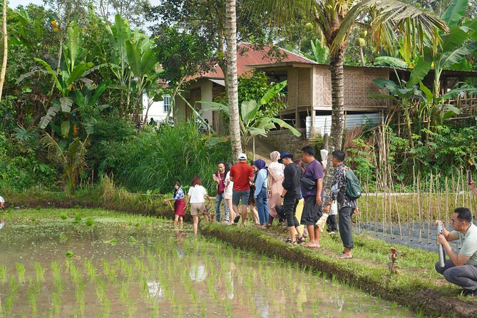 Tete Batu Tour (Culture, Rice Terraces and Waterfalls) - Lunch, coffee, coconut oil, and local products