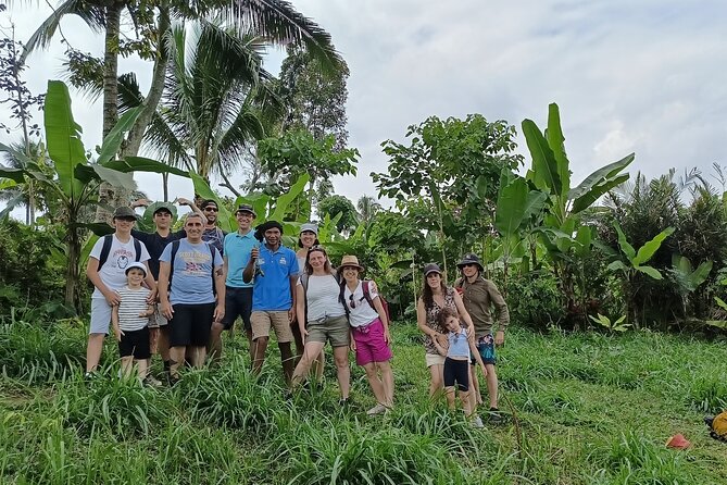 Tetebatu Guided Tour in Rice Terraces Waterfall and Monkey Forest - Crossing rice terraces with Mount Rinjani in view