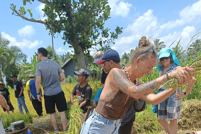 Tetebatu Guided Tour in Rice Terraces Waterfall and Monkey Forest - Eating a Sasak lunch at Warung Monkey Forest